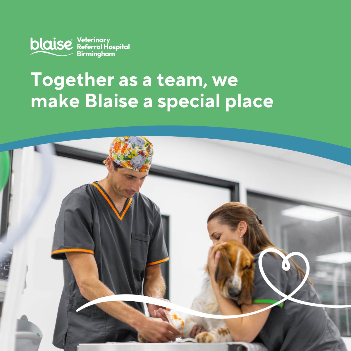 Blaise Veterinary Referral Hospital Birmingham tweet media