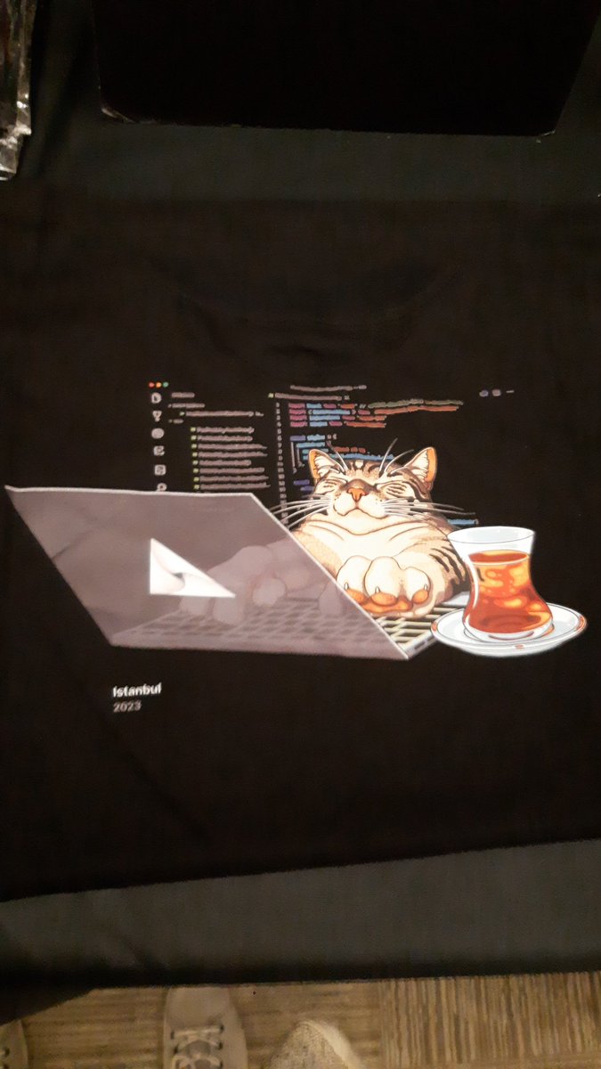 Silver_Queen's tweet photo. API3 has the best swag at ETHGlobal İstanbul (aside from CoW Swap and MEV Blocker, of course)! https://t.co/sa3DDqiL7W