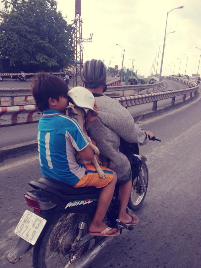 While the father and the son were driving, the rain poured down. The boy was so confused that he didn't know what to do, so he took off the helmet he was wearing to cover the dog. 
There is still hope for humanity in future generations.
#dogstory #doglife #Humanity #doglover