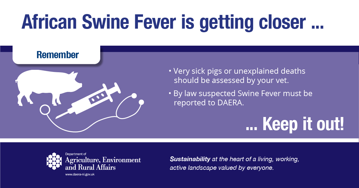 daera_ni's tweet photo. Lets keep #Africanswinefever out
Remember:
❗️Contact your vet for very sick pigs or unexplained deaths
❗️Report suspected ASF to @daera_ni
🔗More info at https://t.co/5WVYpYPcRY
#ASFStopTheSpread https://t.co/ogWEjImzX2