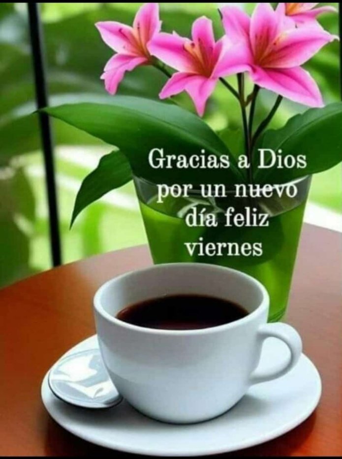 Lupe Monroy (@lupemonroy6) on Twitter photo 