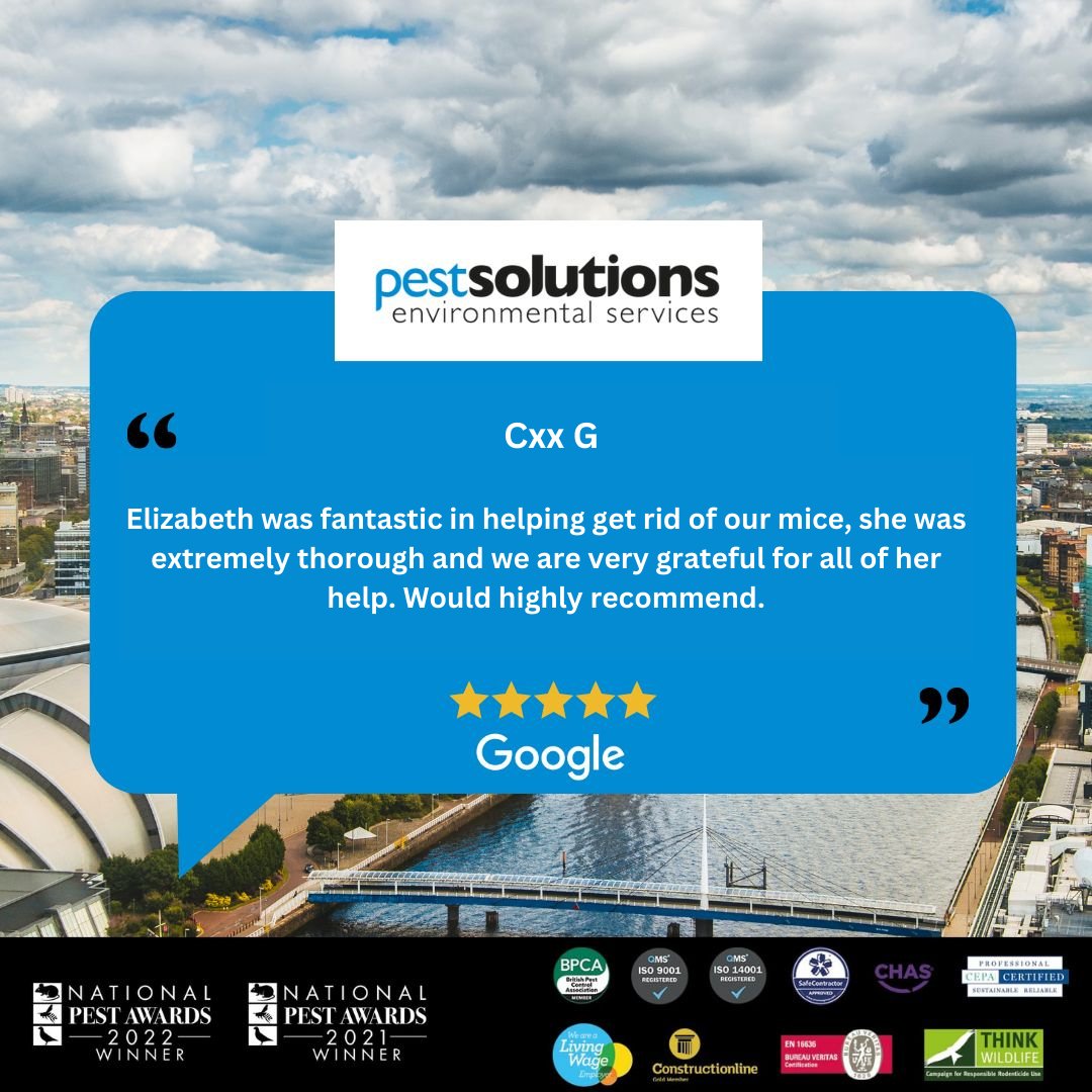 Thanks for taking the time to review our services! Your feedback helps us to continue to improve and provide better experiences for everyone. #ThankYou #CustomerFeedback #PestSolutionsUK
