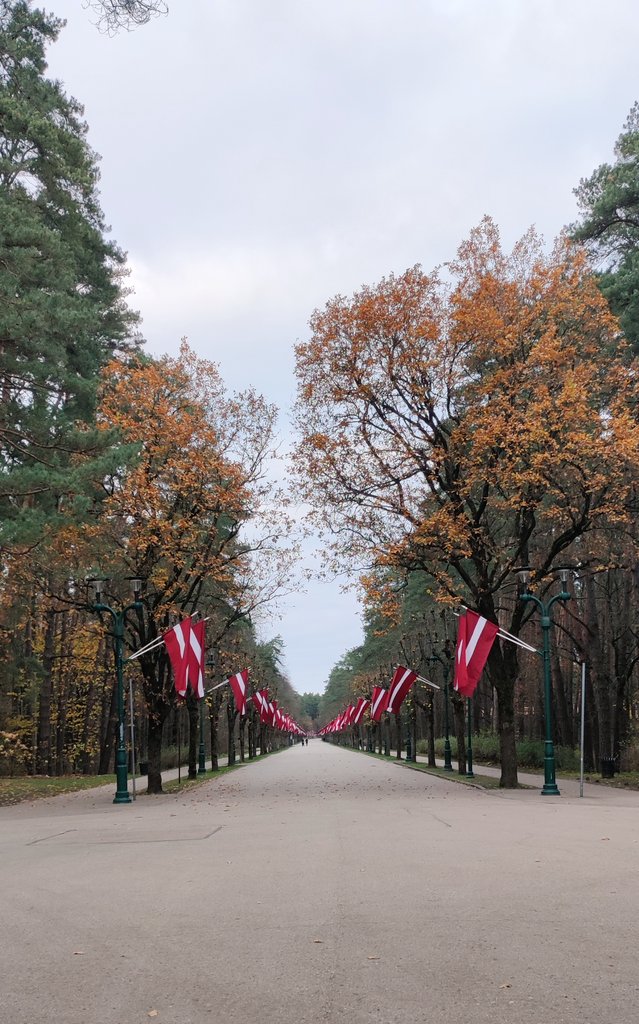 Pašā pēdējā brīdī, bet Mežaparks saposts svētkiem.
