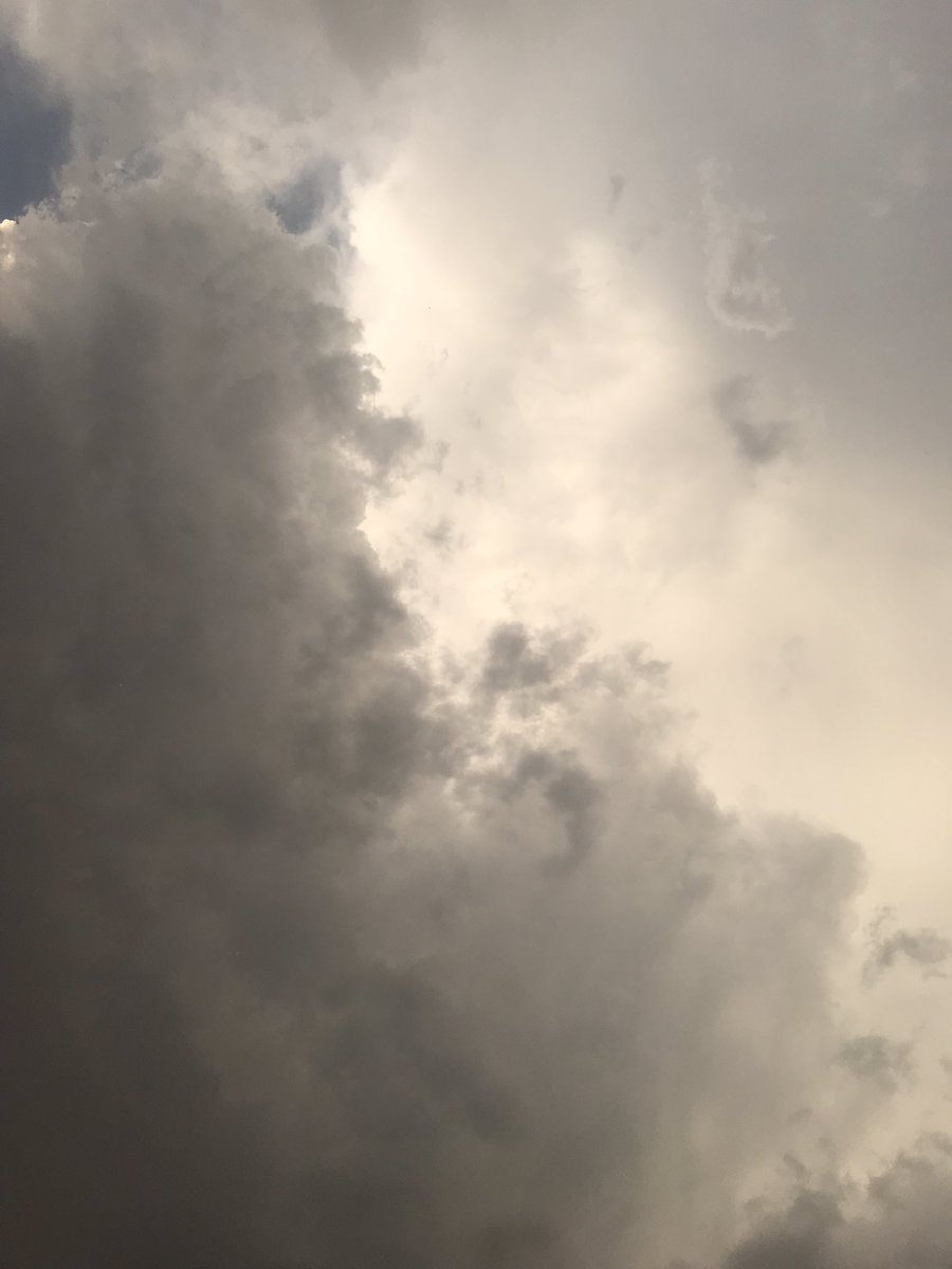 life is the art of dying