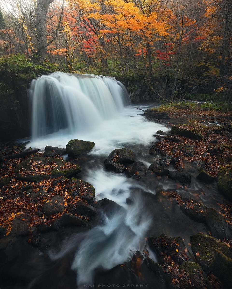 Mithe526533's tweet image. Be bought by the good scenery, and the rest is all a good mood.