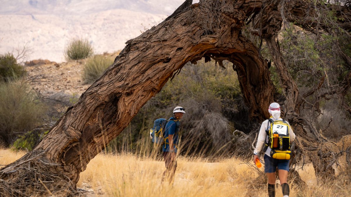 Beyond the Ultimate tweet media