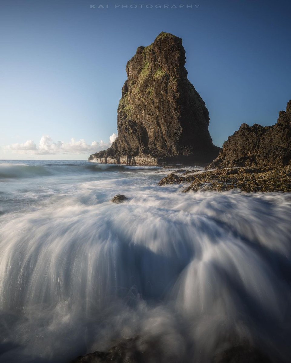 The garden is full of spring scenery, with a few red flowers falling all over the ground