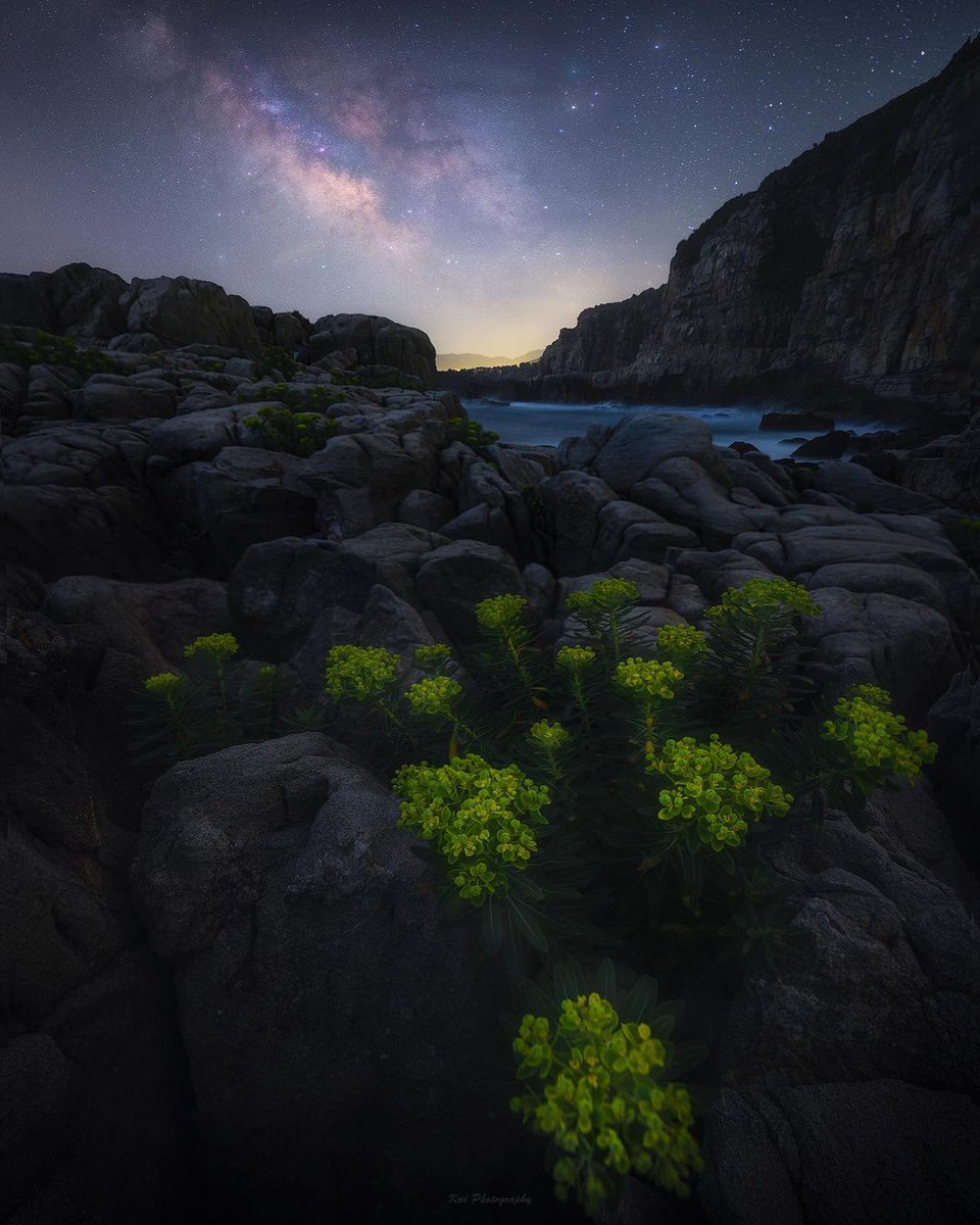 Nandasl160847's tweet image. See different scenery and have a good mood.