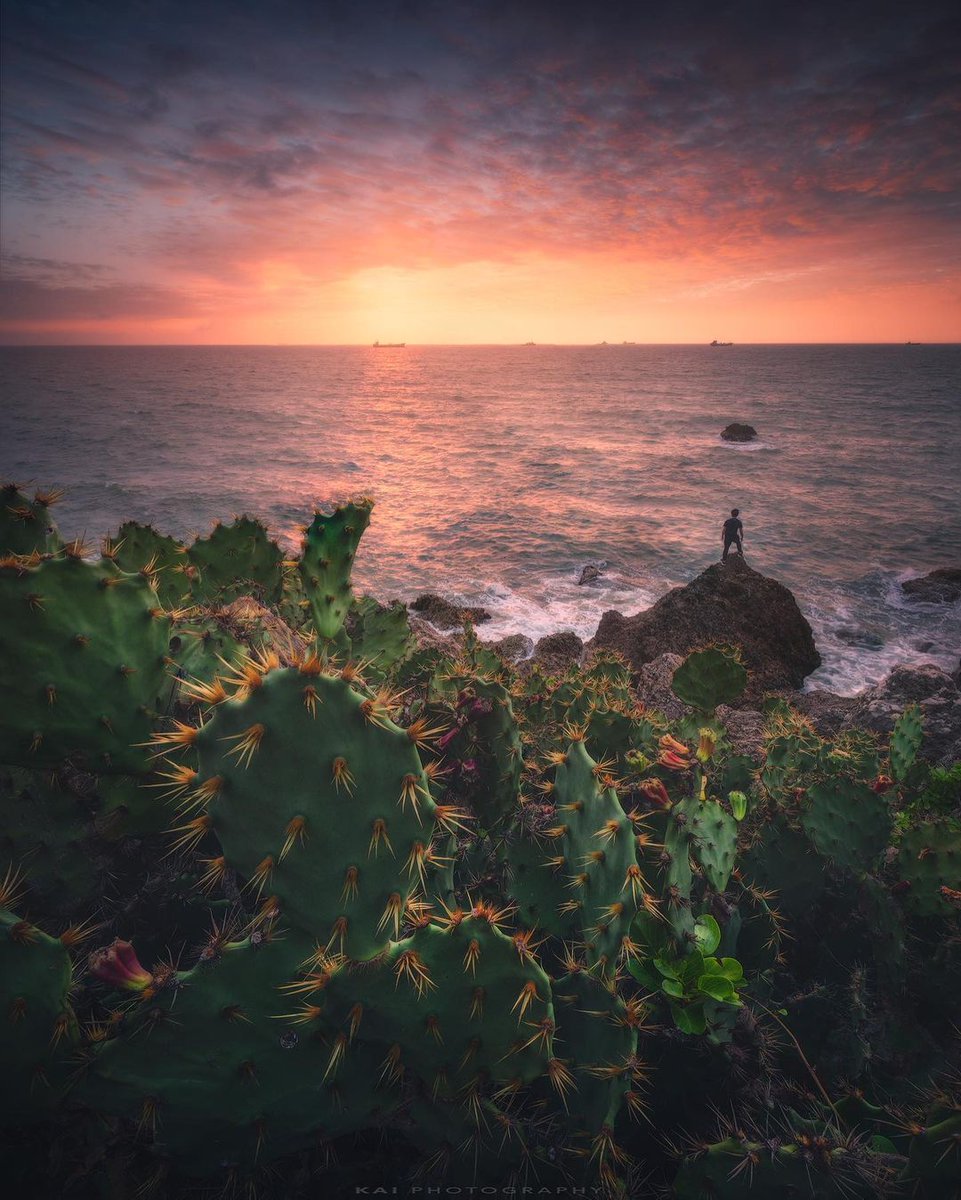 I came from afar to have an appointment with you.