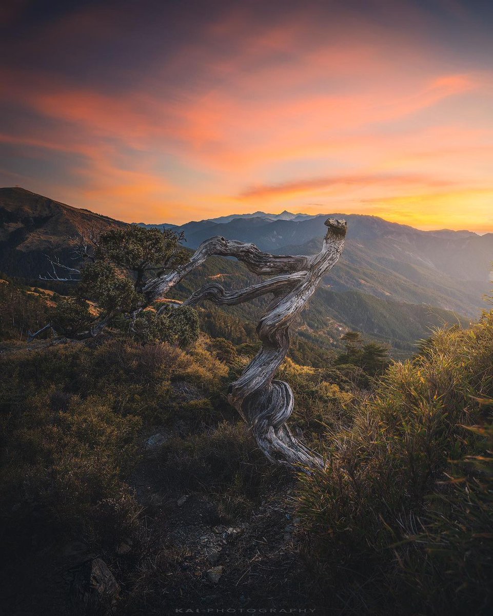 This world is better than you think.