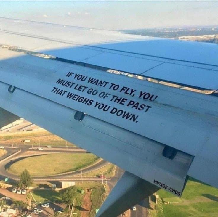 Liane Marie tweet media