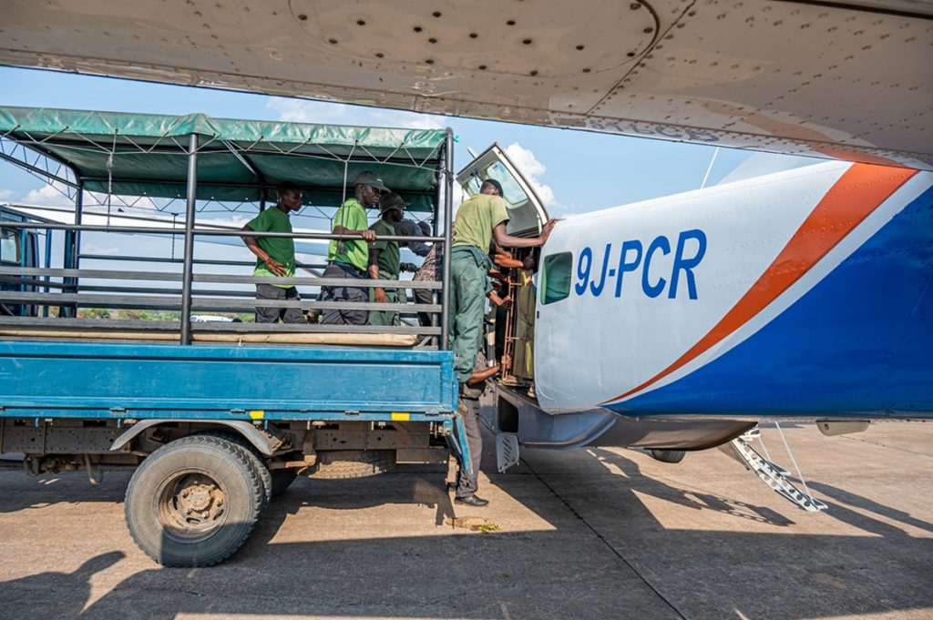 proflightzambia's tweet photo. WINGS OF COMPASSION – PROFLIGHT AND PROCHARTER AIRLIFT BABY ELEPHANT TO SAFETY

 Read more - https://t.co/Gy7CD53wye
#GameRangersInternational 
#DepartmentofNationalParksandWildlife
#ConservationSouthLuangwa
#ChipembeleWildlifeEducationTrust
#ProCharter
#PlaneSmart https://t.co/a3LwH7dQPh