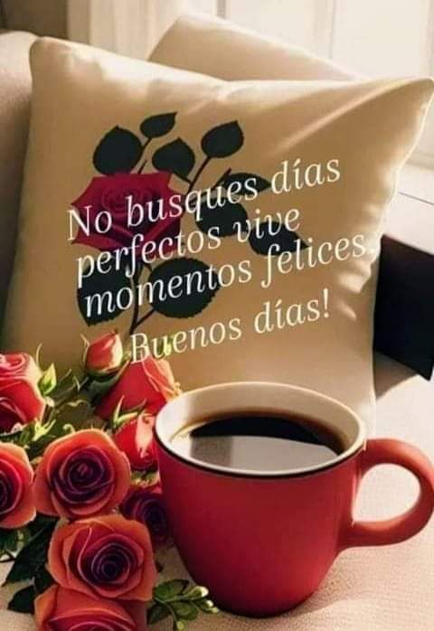 CarminOliGu's tweet photo. https://t.co/6JWG6nXqyK