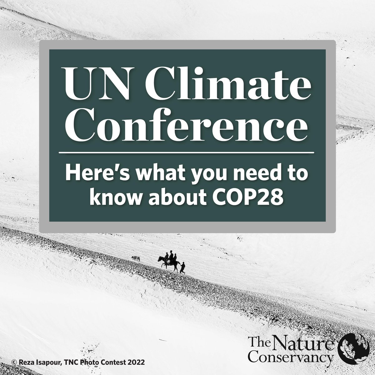 There’s a lot happening at this year’s big UN climate conference. We’ve put together a resource to help you get up-to-speed on some of the key topics at #COP28: nature.ly/49JBBXt #COP28UAE #climateaction