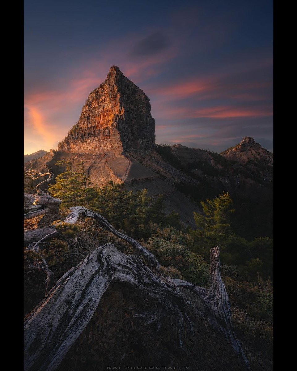 Your smile is so beautiful, like a spring flower...