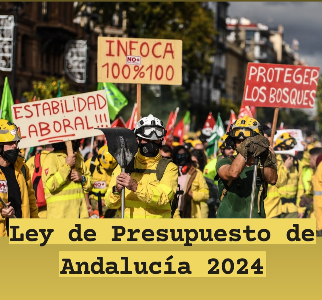 Mercedes Barranco tweet media