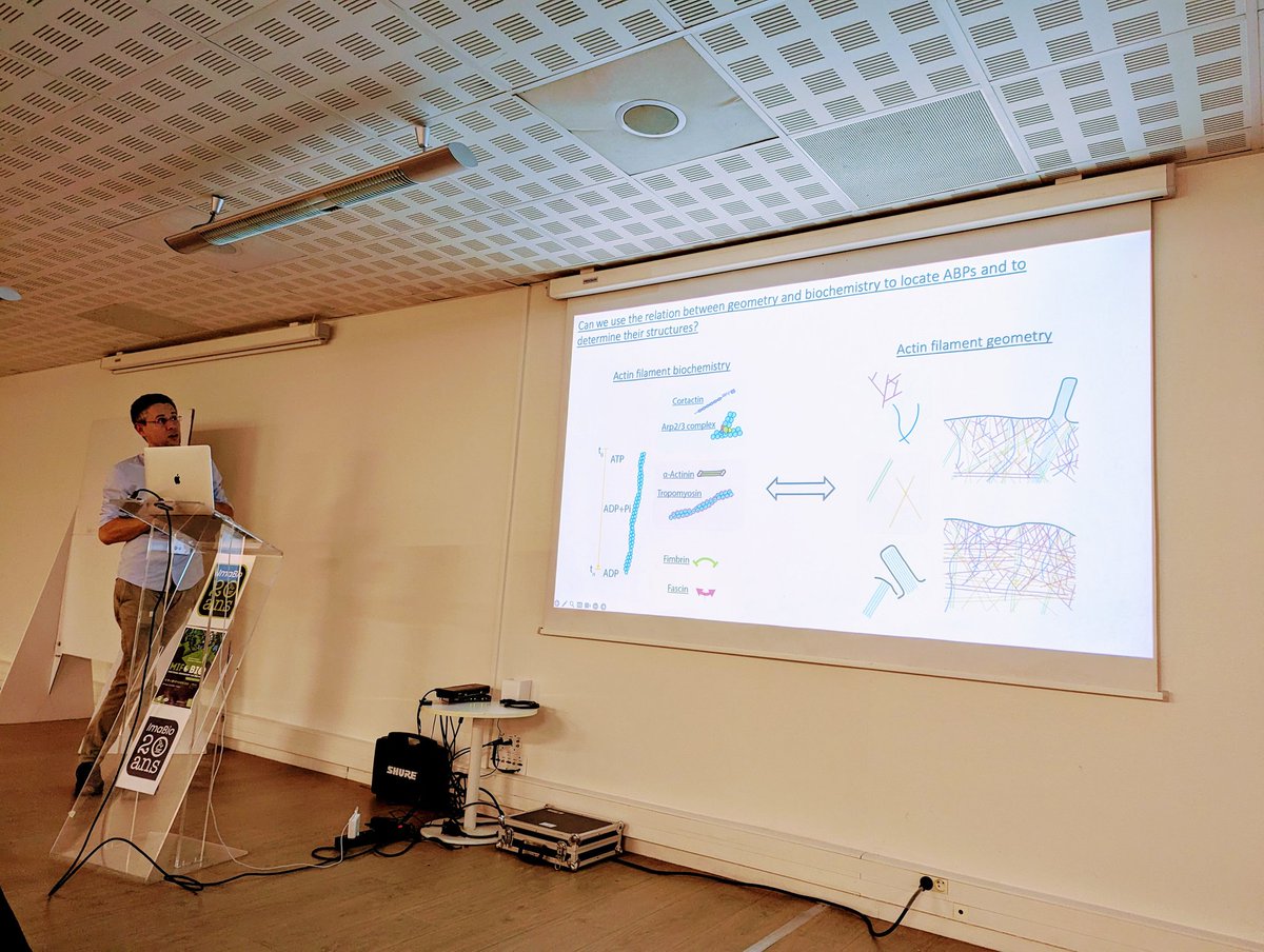 SBCF1's tweet image. Florian Schur now presents the mind blowing results of his team on the structure and fonction of the Arp2/3 complex. 🤯 #MiFoBio+@SBCF1