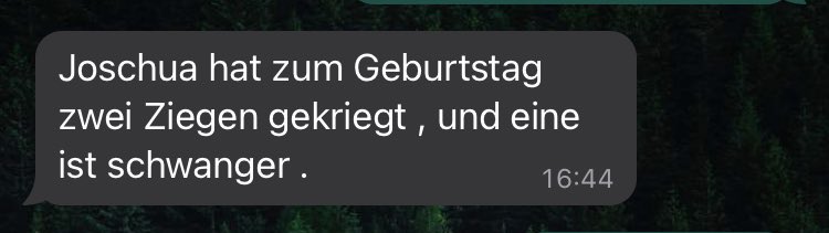 miauz's tweet photo. Mama schickt mir News über die Verwandtschaft: https://t.co/YGHLBf2SL8