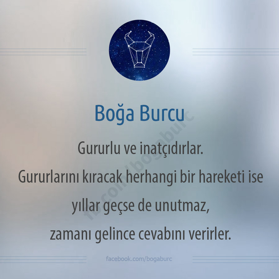 Boğa Burcu tweet media