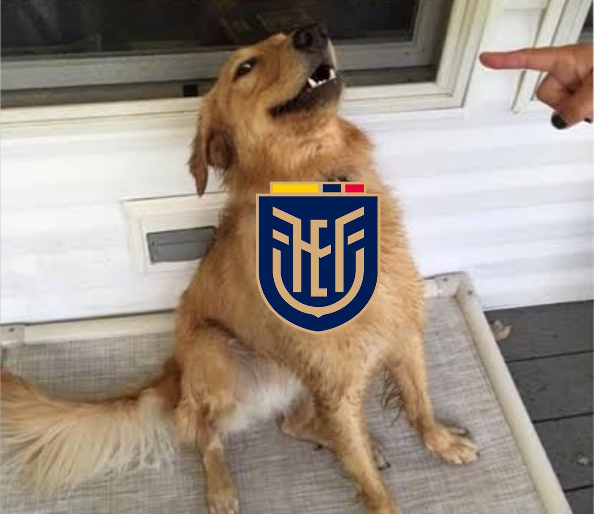 Chile viene mal y acaba de quedarse sin DT, no vayas a perder.