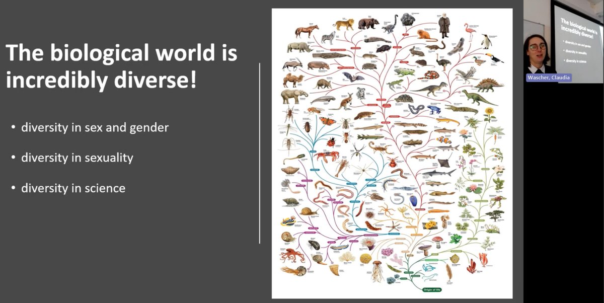 Lovely celebration of #LGBTQIAStemDay @AngliaRuskin with @Tahuayo, @JacobCDunn and @WascherClaudia talking about ‘queer nature’, highlighting the diversity of sex and sexuality in nature! Thank you to the wonderful audience for the interesting discussion. #ARUproud