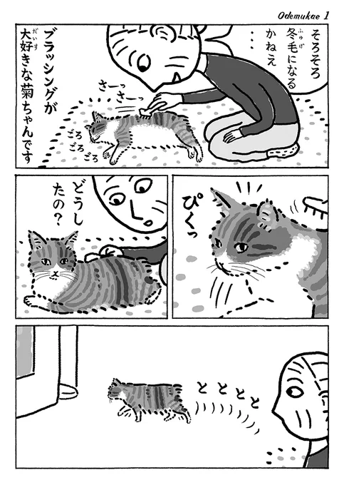 2ページ猫漫画「先回り菊ちゃん」