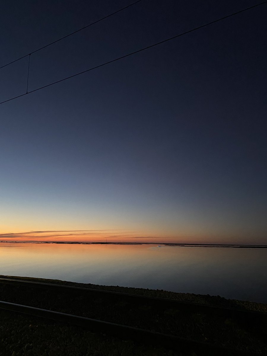 jennympat's tweet photo. @ThanksCancer Today is a taxol day and my dog made me get up early enough for this sunrise, so this is perfect for today. https://t.co/weldgv9Vla