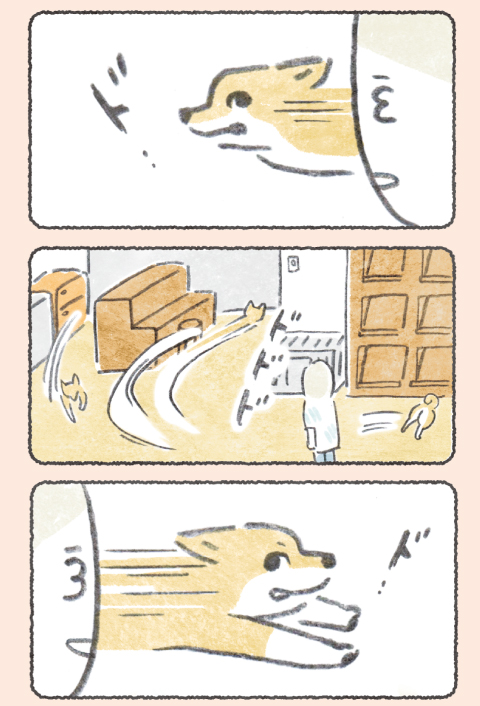 オレッ! (2/2) 