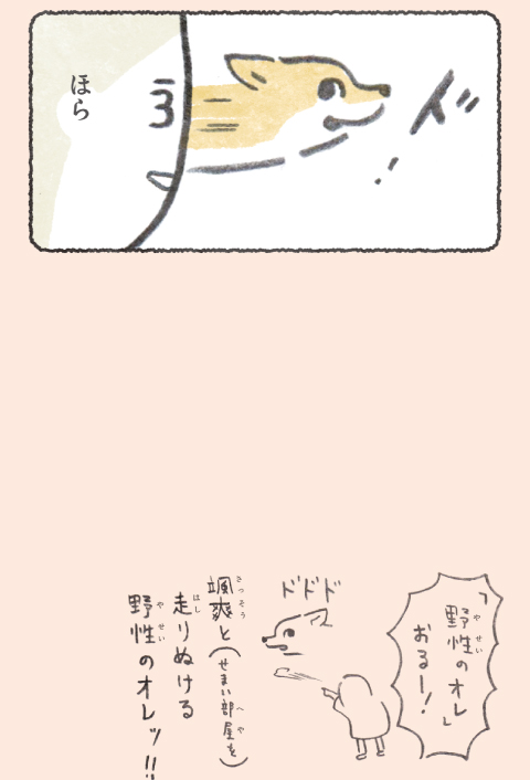 オレッ! (2/2) 
