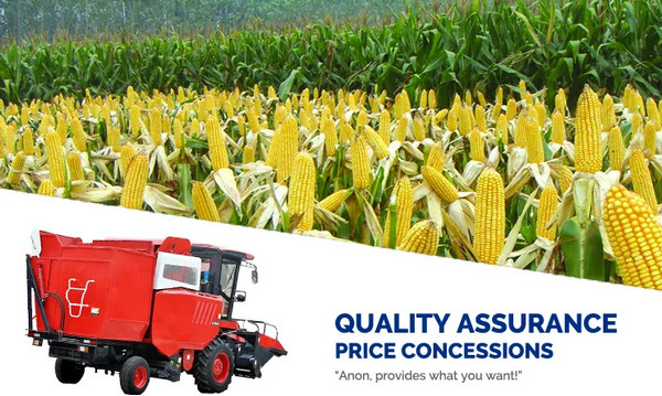 linxiang0721's tweet image. ANON corn combine harvester has flexible peeling technology, low seed yield and high peeling rate.
Chute-type grain recovery device can quickly unload grain.
anoncn.com/news/agricultu…
#agromachine #plow #plough #harester #tractor #agro #combineharvester