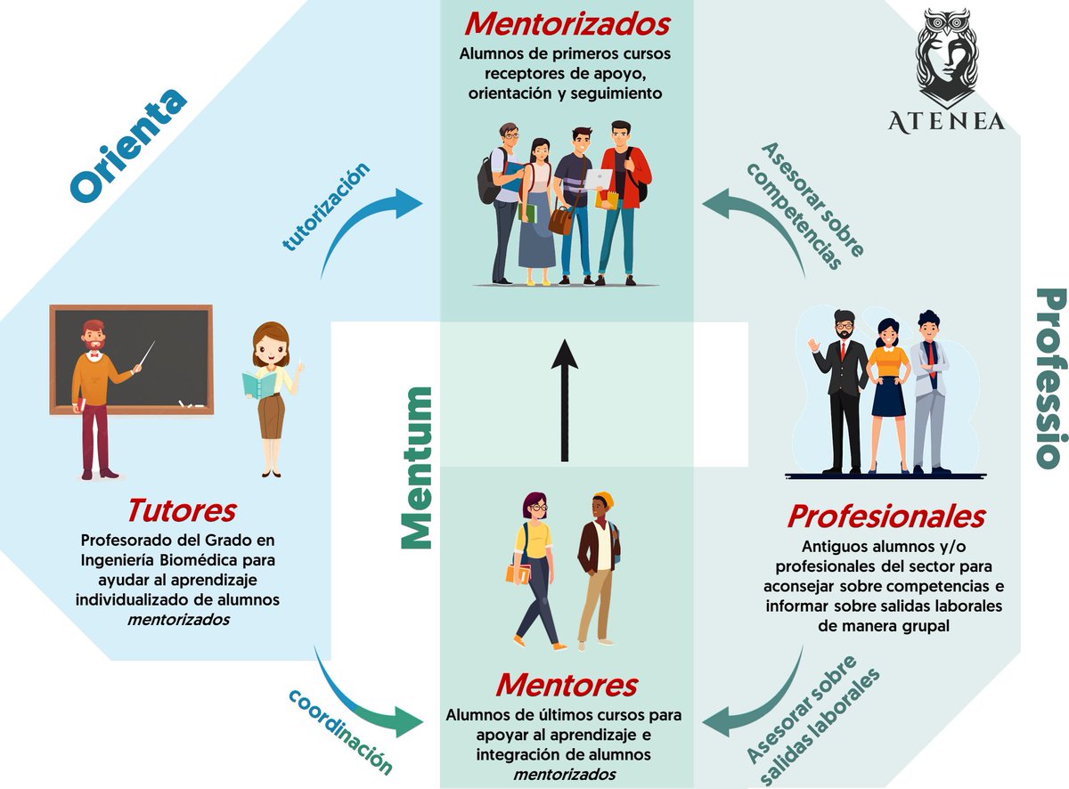 Grado en Ingeniería Biomédica (UVa) tweet media