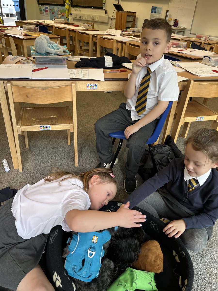 This week, in Geography, Year 3 have been learning about the different types of settlement and the advantages and disadvantages of them. We also had a visit from our friend Bertie the dog!
