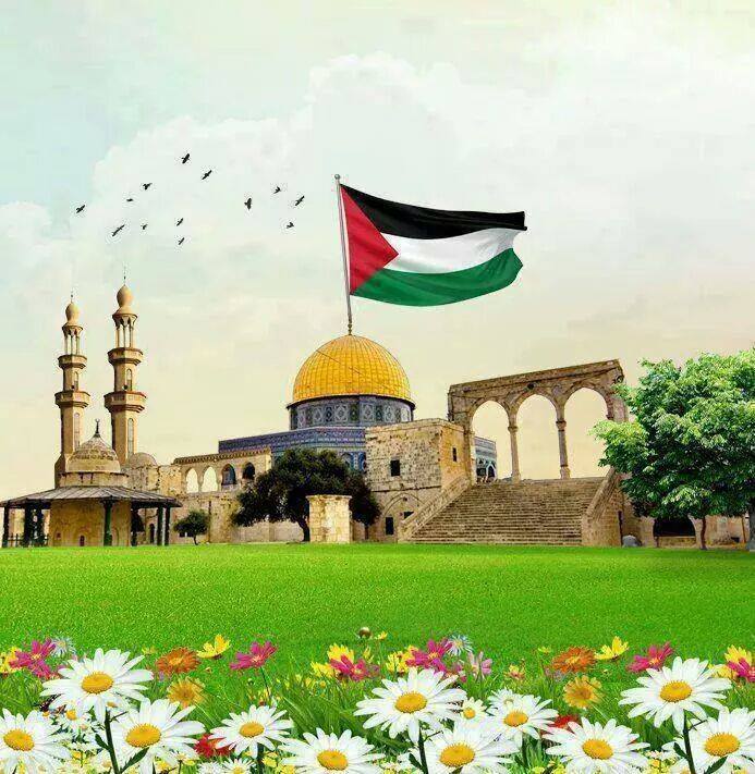 Kanımla canımla Filistin'in yanındayım diyenler burayı filistin bayraklarıyla donatalım mı? Haydi başlıyoruz