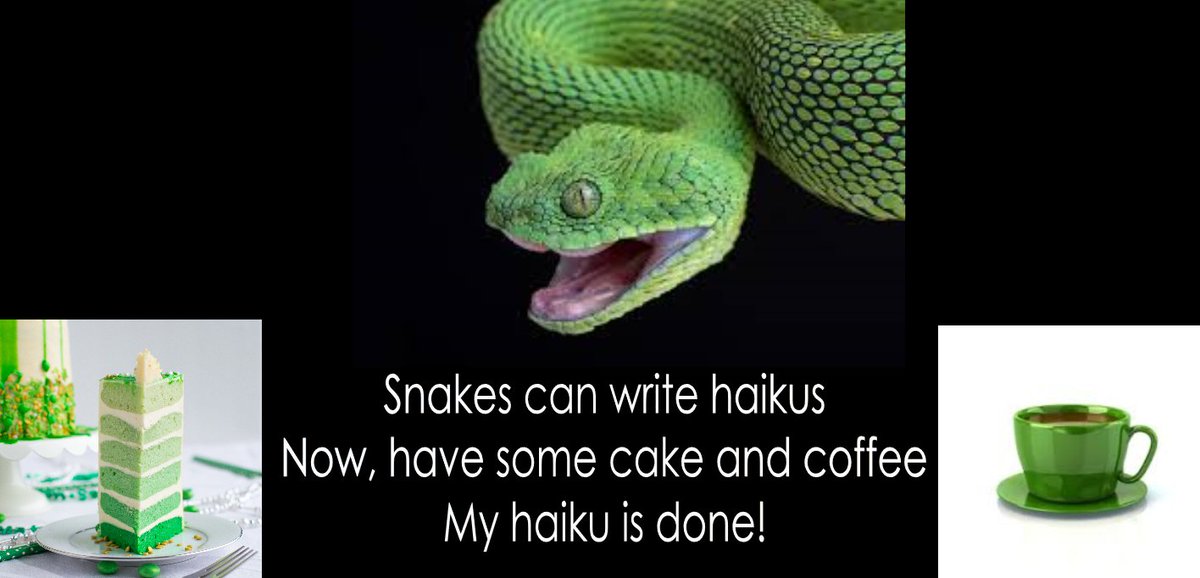 #HeadoverHaiku Am I doing this right? 🤔🐍📝🤪