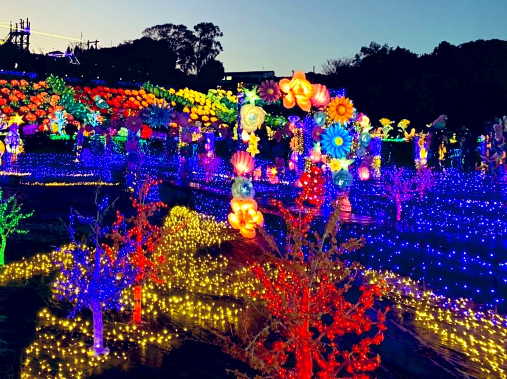 SBS6ch's tweet image. #伊豆高原グランイルミ✨✨
から
たなけんも生中継📡
#LIVEしずおか

なんだか合成に見えますが
本当に現場にいます！
#田中健太郎
冬⛄はやっぱり
#イルミネーション