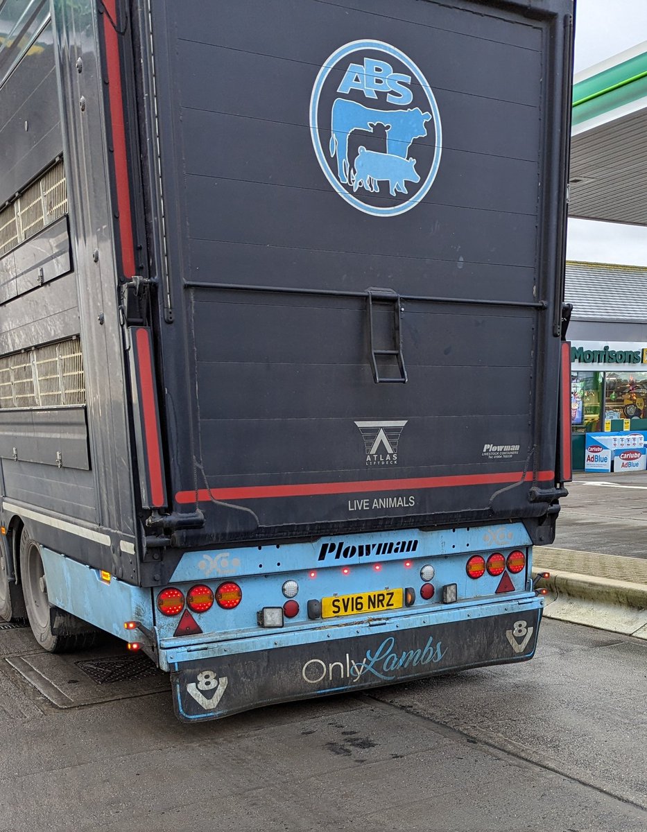 Mark Vickers tweet media