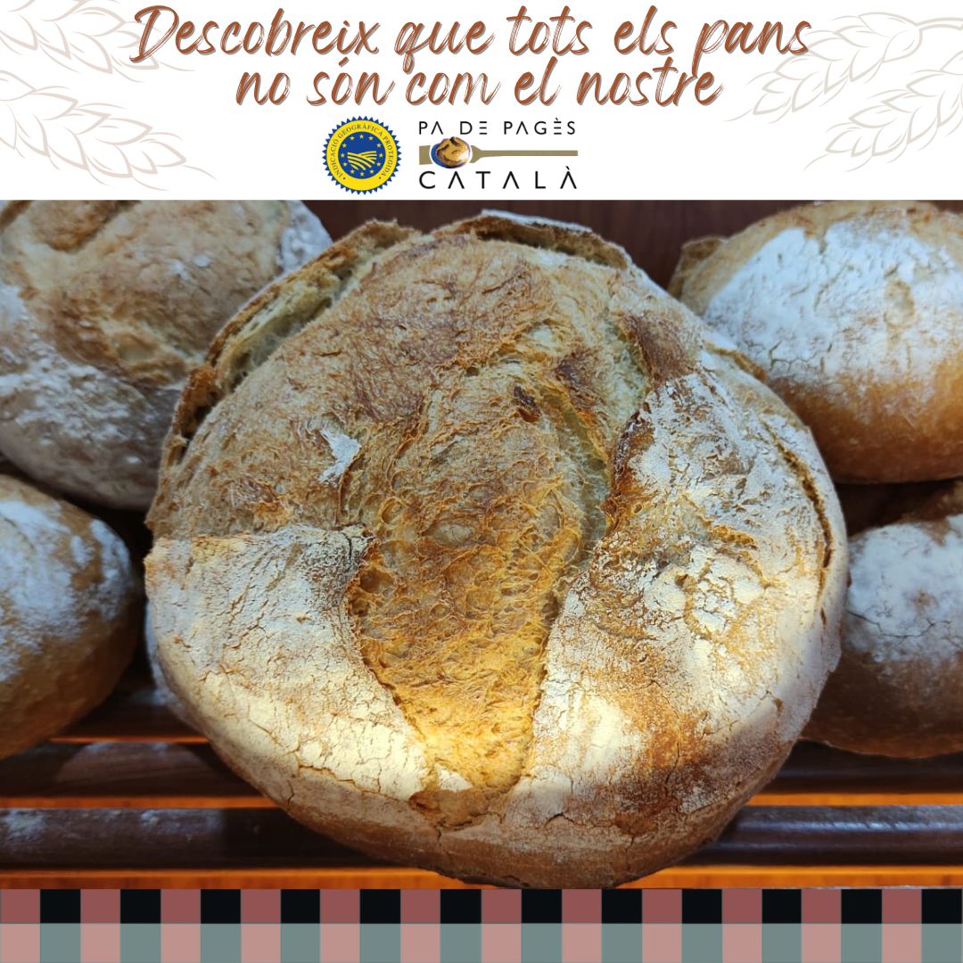 Pa de Pagès Català tweet media