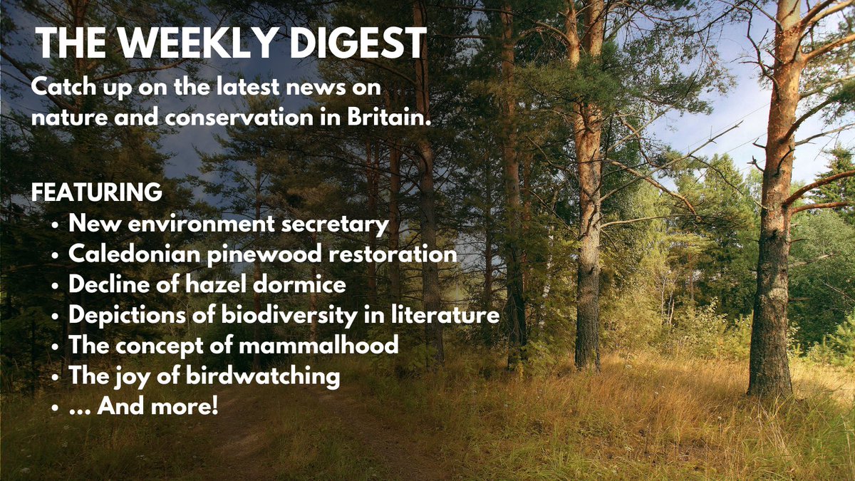 The weekly digest is out now. Featuring: @RobGMacfarlane @JNCC_UK @JulieJamesMS @GwentWildlife @DorsetWildlife @KentWildlife @PTES @ScillyWildlife @SMFthinktank @beaCdowning @RoyleResearch @kerri_ni @orbexspace and more. Read it here: inkcapjournal.co.uk/new-environmen…