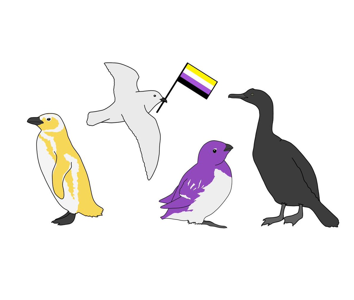 TheSeabirdGroup's tweet photo. This #LGBTSTEM & #PolarPride Day we are particularly celebrating trans & non-binary seabirders๐ณ๏ธโ๐๐ณ๏ธโโง๏ธ
We have two new #Pride design in our @Teemillstore designed by @RowanKuminski
#LGBTSTEM #SeabirdPride
https://t.co/bRYviG2Ja3
@LGBTSTEMDay @PrideInSTEM @UKPolarNetwork https://t.co/I9tPWfDGeN