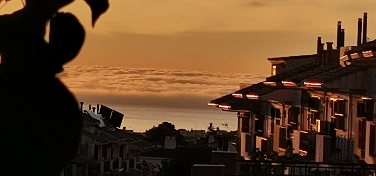 carmenggu's tweet photo. @tiempobrasero Amanecer hoy en Marbella, nunca lo vi así.. ¡¡Maravilloso😍!! https://t.co/8UAAit7vJH