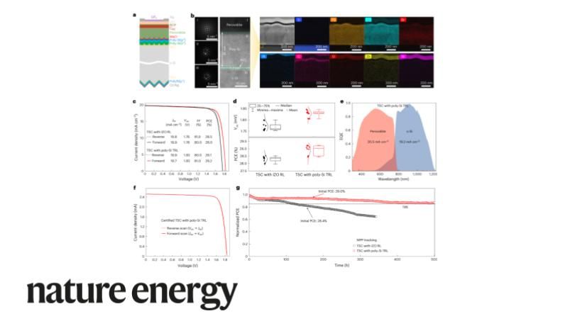 NatureEnergyJnl's tweet photo. Jichun Ye and colleagues show 28.67%-efficiency #perovskite/#TOPCon silicon tandem #SolarCells using a boron- and phosphorus-doped polycrystalline silicon connecting layer. https://t.co/cv8Y1IZBqI https://t.co/5tWd4SNOEp