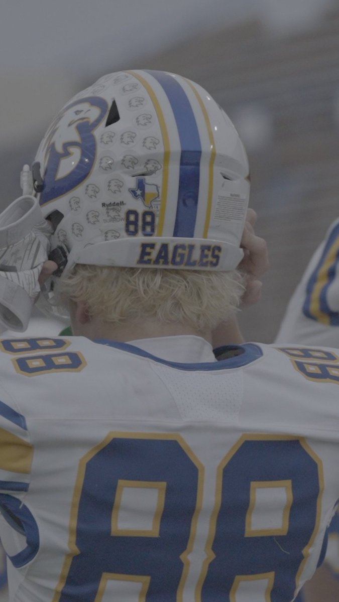 Taylor Lee tweet media