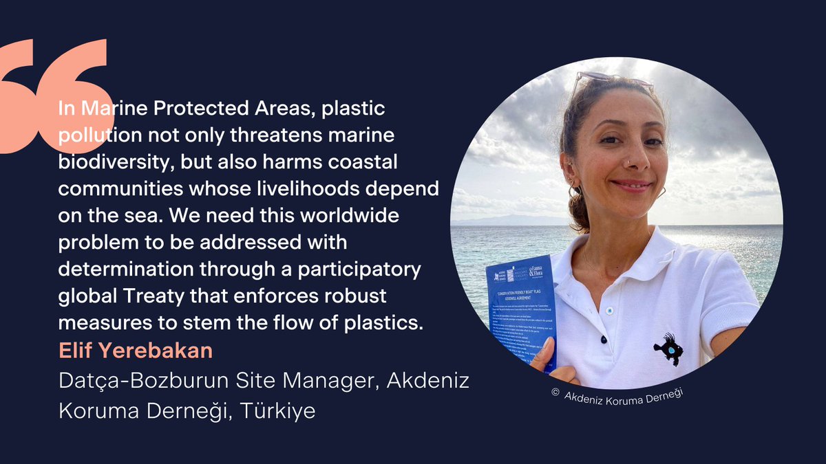 In #Turkey, plastic pollution, such as ghost gear, threatens the endangered Mediterranean monk seal and many species, putting at risk biodiversity and communities' livelihoods. @FaunaFloraInt partner @akdenizkoruma is calling for a robust #PlasticsTreaty serving people & planet