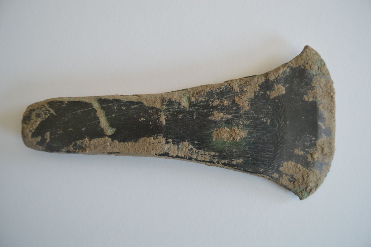 Discovered during systematic metal detecting survey of #Montgomery by Dr Glenn Foard of the @battleftrust, this decorated flat axe dates to the #BronzeAge, an impressive #FindsFriday!