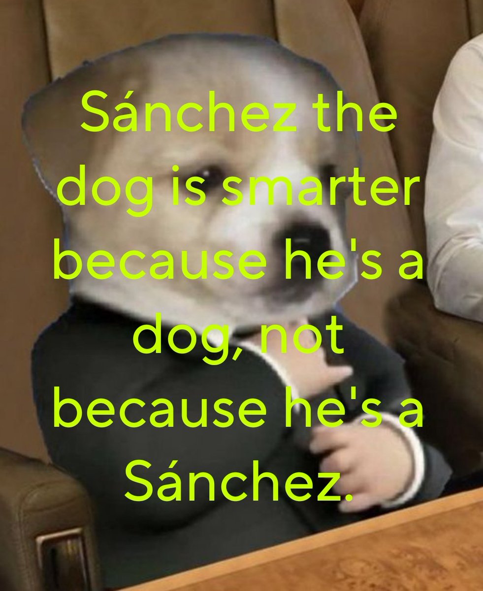 🦴 El perrito de los pronombres 🦕 tweet media