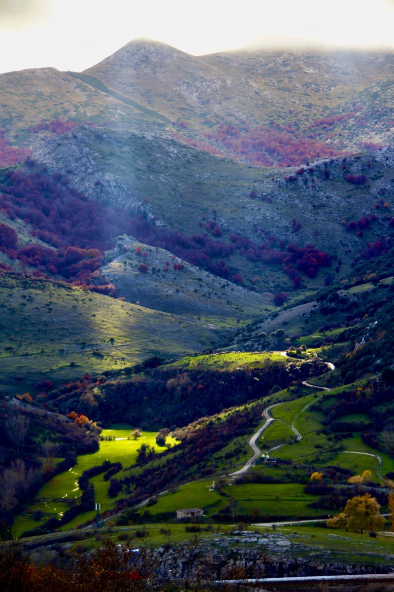 BorjaBarba's tweet photo. A veces es solo cuestión de paciencia.
#MontañaPalentina #Palencia https://t.co/2TQAXDXl3H