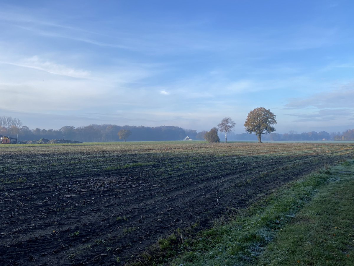 B_Visschedijk's tweet photo. Een frisse goedemorgen , fijn weekend allen. Groeten #twente #frisse #start #weekend 🚲 #glane https://t.co/sj52Jjl5IQ