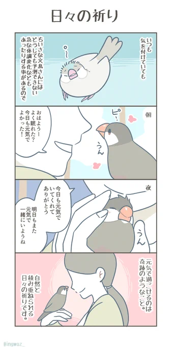 日々の祈り。  #漫画が読めるハッシュタグ #文鳥 #Buncho