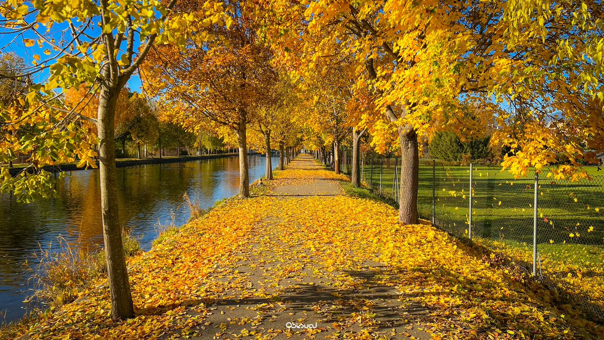 marcobiols_'s tweet photo. Així tenim el Parc del Segre de la Seu d’Urgell 🍁🧡 https://t.co/syhwPKwVNk