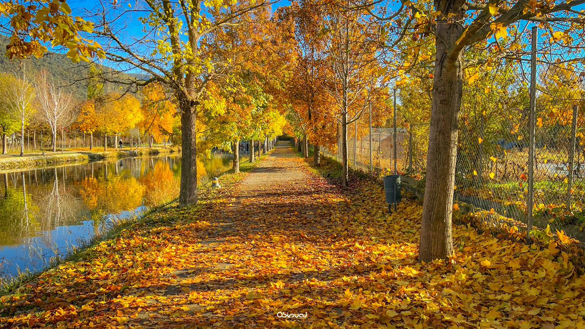 marcobiols_'s tweet photo. Així tenim el Parc del Segre de la Seu d’Urgell 🍁🧡 https://t.co/syhwPKwVNk